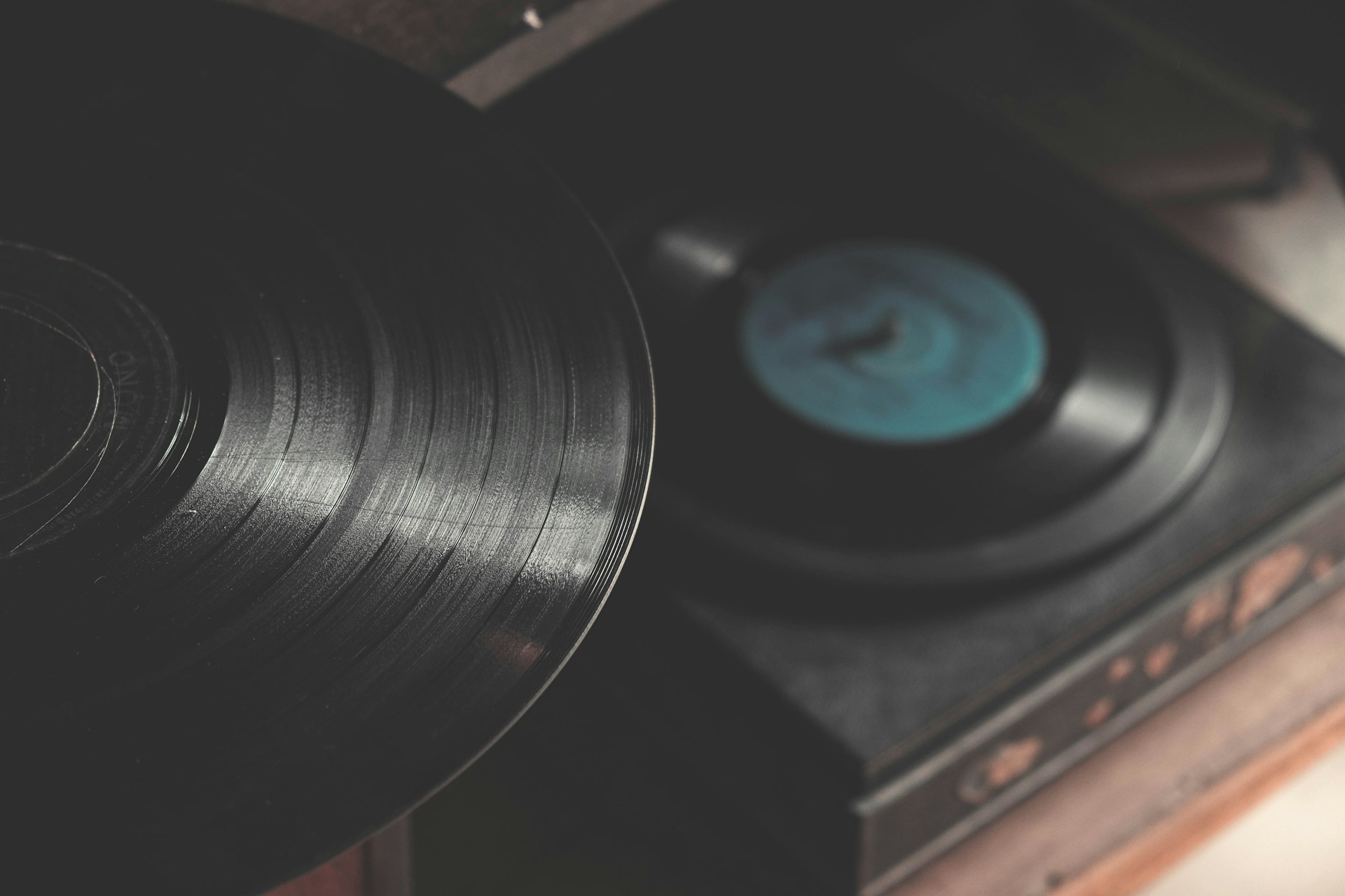 mink-mingle-HRyjETL87Gg-unsplash